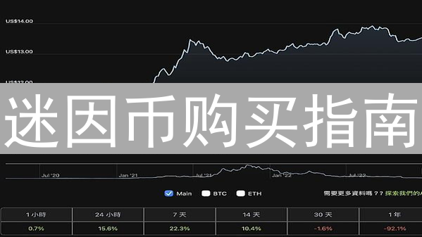 迷因币购买指南：探索币圈的正确投资姿势与风险评估