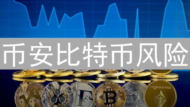 币安比特币风险：巨鲸阴影下的潜在暗流分析