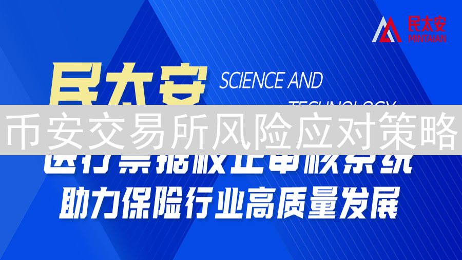 币安交易所风险应对策略：动态平衡与稳健发展之道