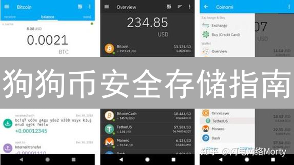 狗狗币安全存储指南：多种方案深度解析与实用建议