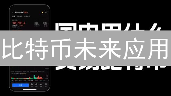 比特币未来应用：身份认证、微支付与供应链金融畅想