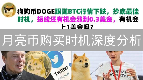 月亮币购买时机深度分析：把握最佳投资机会