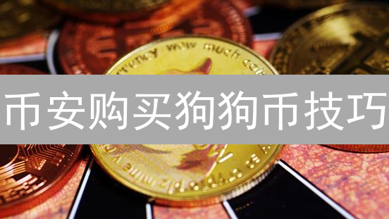 币安购买狗狗币技巧：低手续费与比特币交易策略思考
