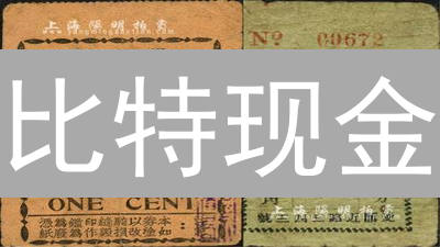 比特现金：不止于支付，构建去中心化应用新生态