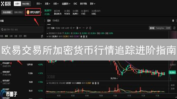 欧易交易所加密货币行情追踪进阶指南