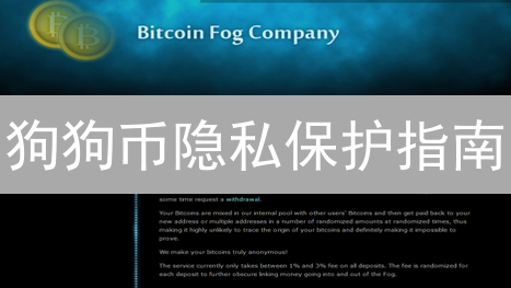 狗狗币隐私保护指南：安全使用策略与风险分析