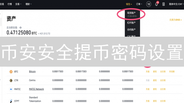 币安安全提币密码设置：保障您的数字资产安全