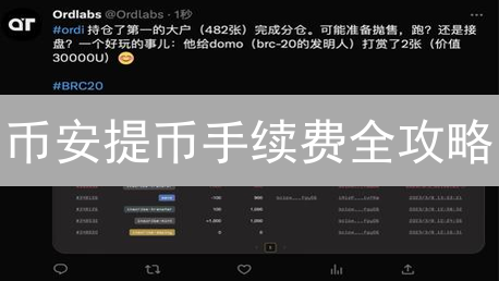 币安提币手续费全攻略：避坑指南与省钱秘籍，新手必看！