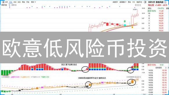 欧意低风险币投资：新手也能躺赚？速看这份稳健指南！