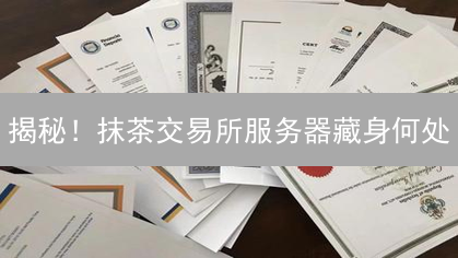 揭秘！抹茶交易所服务器藏身何处？交易速度、安全竟与它息息相关！
