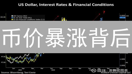币价暴涨背后：2024年加密货币升值的核心秘密？