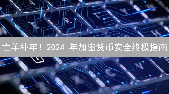 亡羊补牢！2024 年加密货币安全终极指南：防盗秘籍