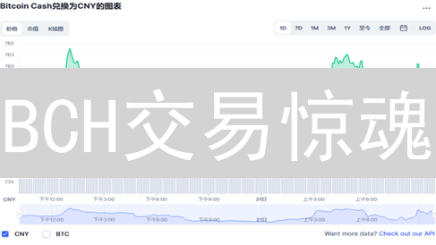 BCH交易惊魂：滑点猛于虎！3招教你稳操胜券？