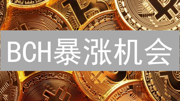 BCH暴涨机会？深度分析比特现金基本面与技术面！