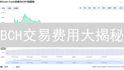 BCH交易费用大揭秘：成本、影响因素与优化策略