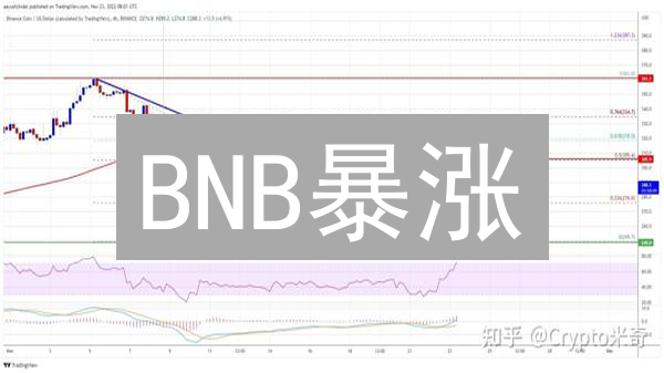 BNB暴涨？2024币安币终极价格预测！新手必看！