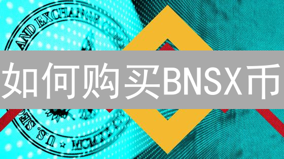 如何购买BNSX币？详细购买指南与注意事项