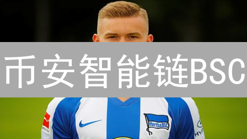 币安智能链BSC：优势、特点与生态系统解析
