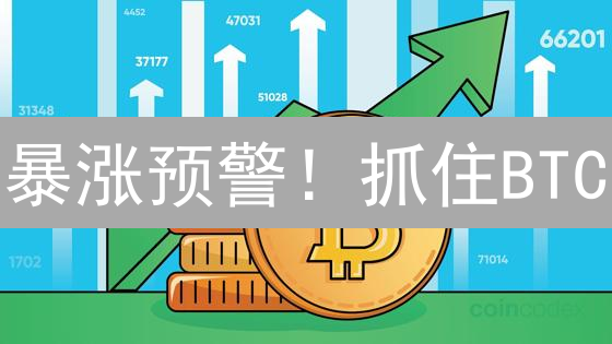 暴涨预警！抓住BTC/ETH投资机会，下轮牛市你准备好了吗？