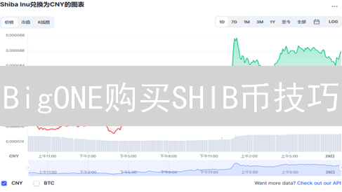 BigONE购买SHIB币技巧：新手指南与进阶策略