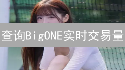 查询BigONE实时交易量：方法与技巧详解