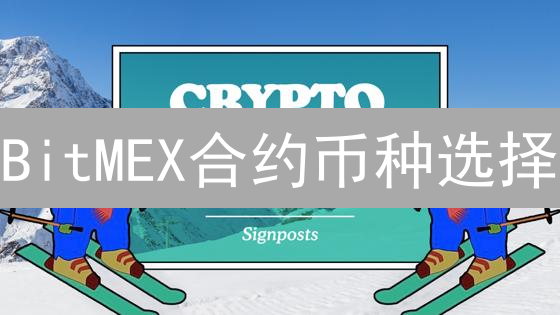 BitMEX合约币种选择：高波动性下的盈利机会？