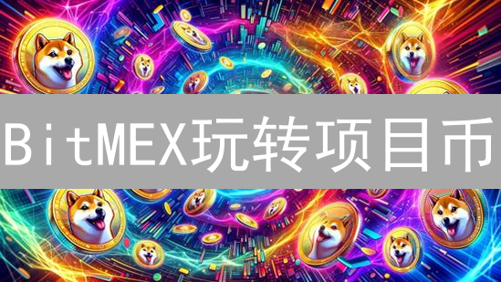 BitMEX玩转项目币？新手必看杠杆交易指南 (2024)