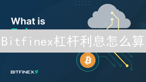 Bitfinex杠杆利息怎么算？避坑指南：利率、费用全解析
