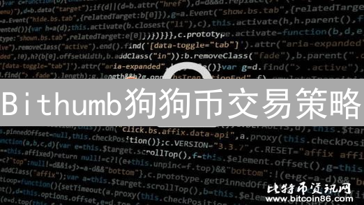 Bithumb狗狗币交易策略：技术分析与风险管理
