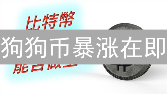 狗狗币暴涨在即？Bybit购买攻略：5分钟掘金指南！