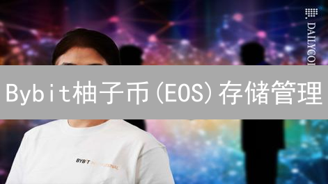 Bybit柚子币(EOS)存储管理：安全指南详解