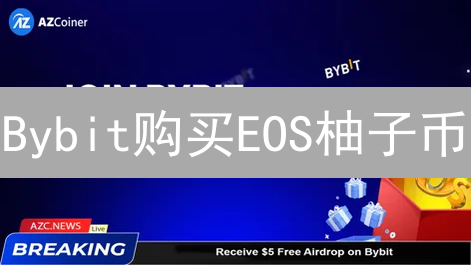 Bybit购买EOS柚子币？新手必看策略与风险！