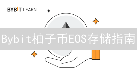 Bybit柚子币EOS存储指南：新手必看，安全管理攻略！