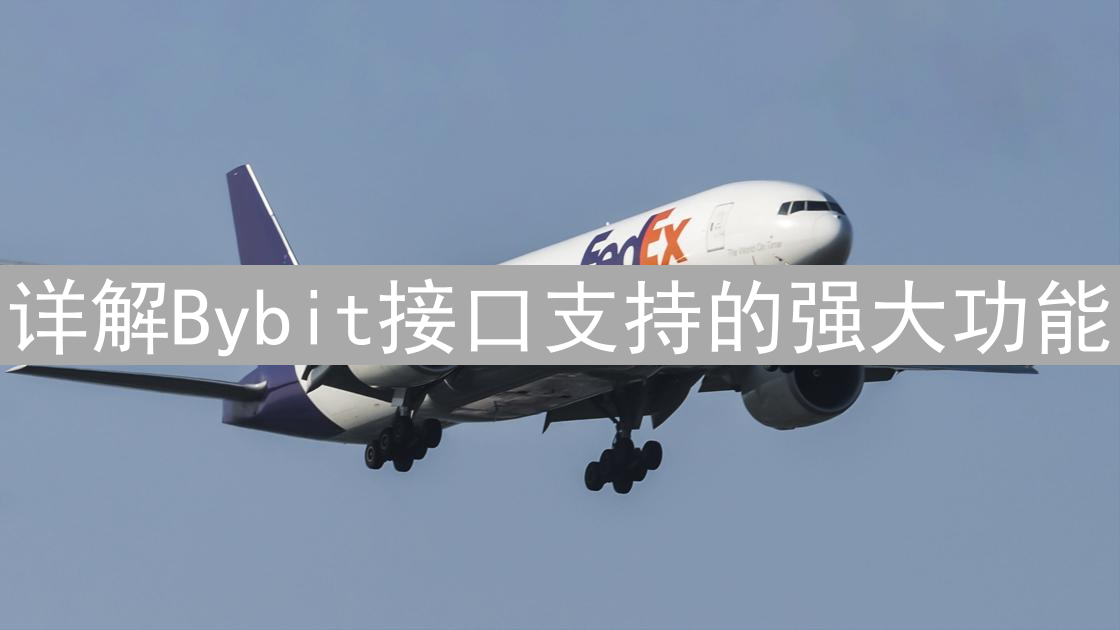 详解Bybit接口支持的强大功能