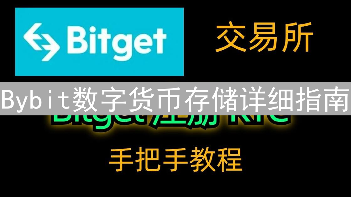 Bybit数字货币存储详细指南