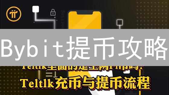 Bybit提币攻略：安全指南与常见问题解答，速度提现？