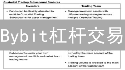 Bybit杠杆交易：风险与收益并存？新手必看攻略！