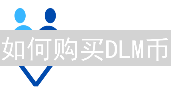 如何购买DLM币？新手购买指南与风险提示