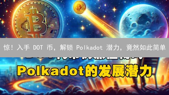 惊！入手 DOT 币，解锁 Polkadot 潜力，竟然如此简单？
