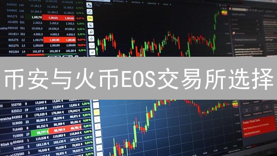 币安与火币EOS交易所选择：深度分析与用户指南