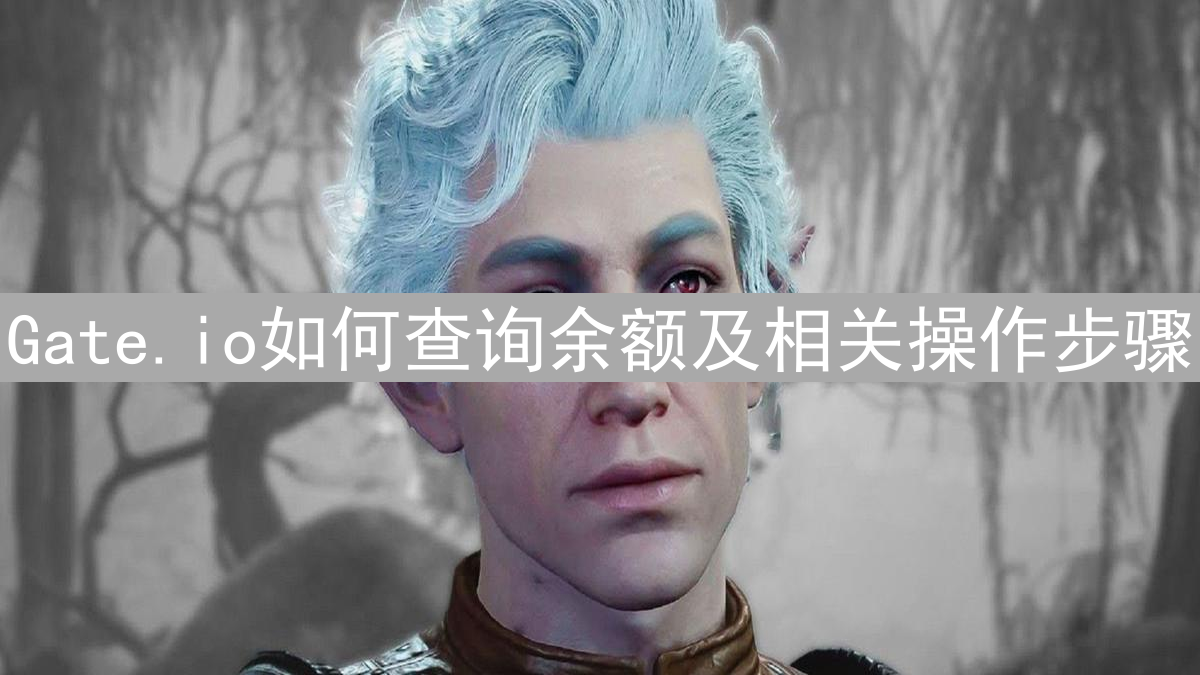 Gate.io如何查询余额及相关操作步骤
