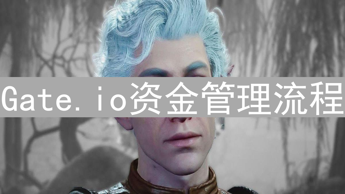 Gate.io资金管理流程：构建安全高效的数字资产堡垒