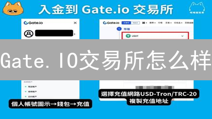 Gate.IO交易所怎么样？深度解析其优势与风险！