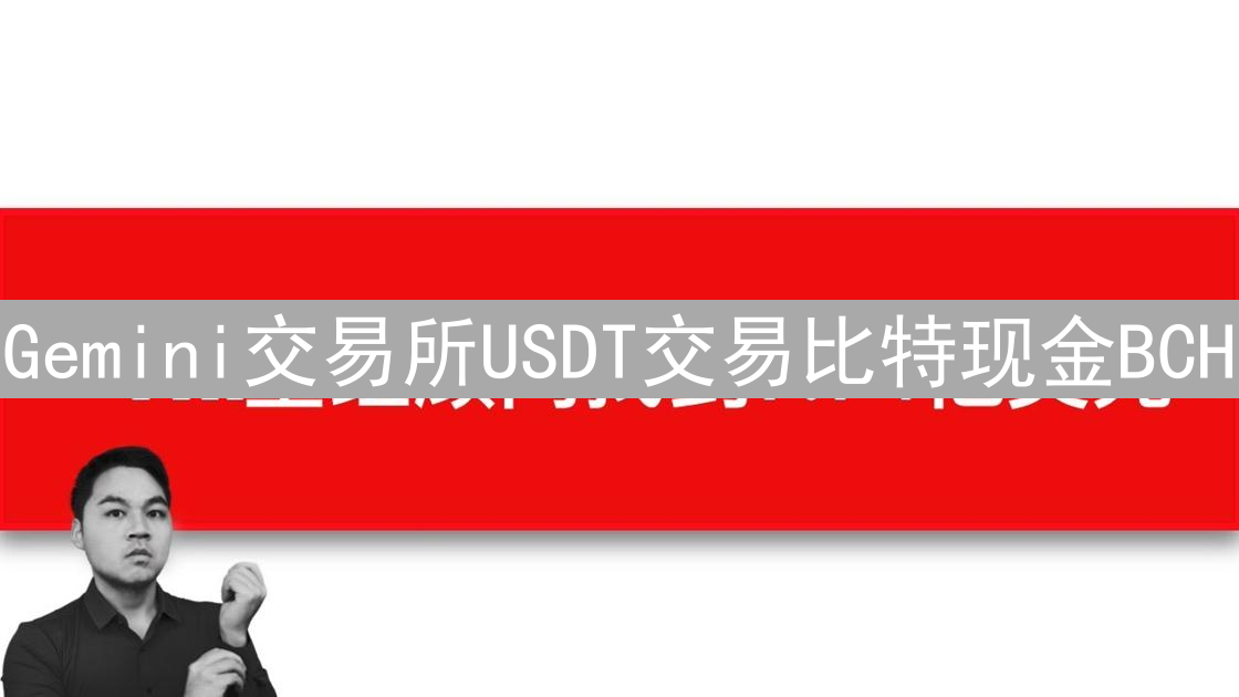 Gemini交易所USDT交易比特现金BCH：可行性分析与指南