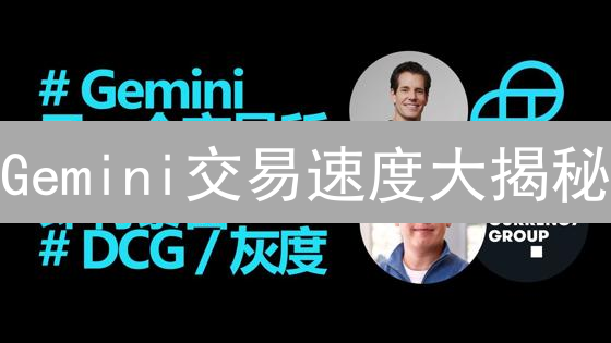 Gemini交易速度大揭秘：影响因素与优化策略，速度提升指南！