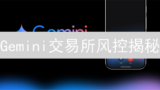Gemini交易所风控揭秘：如何守护你的加密资产？