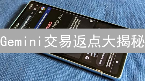 Gemini交易返点大揭秘：新手也能轻松赚翻！