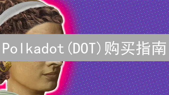 Polkadot(DOT)购买指南：新手入门及注意事项详解
