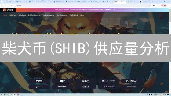 柴犬币(SHIB)供应量分析：价值、风险与代币经济模型