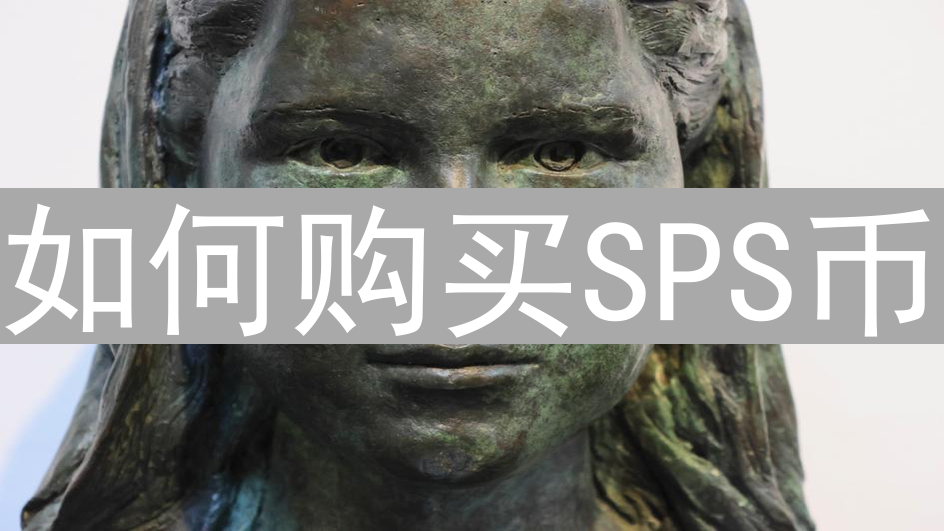如何购买SPS币？SPS币的购买流程与风险管理解析